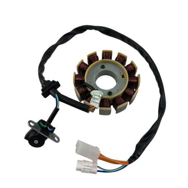 STATOR - 125ccm12 Spulen für ZNEN BAOTIAN BENZHOU FLEX TECH REX GY6 4-TAKT 152QMI E4