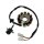 STATOR - 125ccm12 Spulen für ZNEN BAOTIAN BENZHOU FLEX TECH REX GY6 4-TAKT 152QMI E4