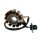 STATOR - 125ccm12 Spulen für ZNEN BAOTIAN BENZHOU FLEX TECH REX GY6 4-TAKT 152QMI E4