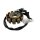 STATOR - 125ccm12 Spulen für ZNEN BAOTIAN BENZHOU FLEX TECH REX GY6 4-TAKT 152QMI E4