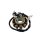 STATOR - 125ccm12 Spulen für ZNEN BAOTIAN BENZHOU FLEX TECH REX GY6 4-TAKT 152QMI E4