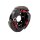 RACING KUPPLUNG GY6 4-Takt / 50-90cc- 139QMA/QMB