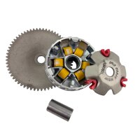 RACING VARIOMATIK SET 5.5gr. & 38mm für GY6...