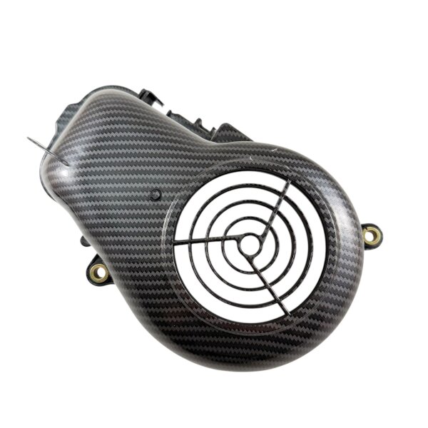 Lüftergehäuse Kühlhaube CARBON Look Scooter Chinaroller für MINARELLI liegend AC