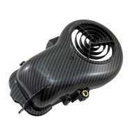 Lüftergehäuse Kühlhaube CARBON Look Scooter Chinaroller für MINARELLI liegend AC