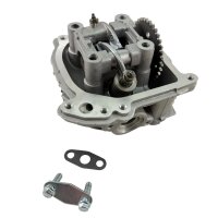 ZYLINDERKOPF inkl VENTILE, Nocke & Kipphebelbrücke für 50cc Zylinder- mit SLS
